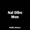 About Nai Dibo Mon Song